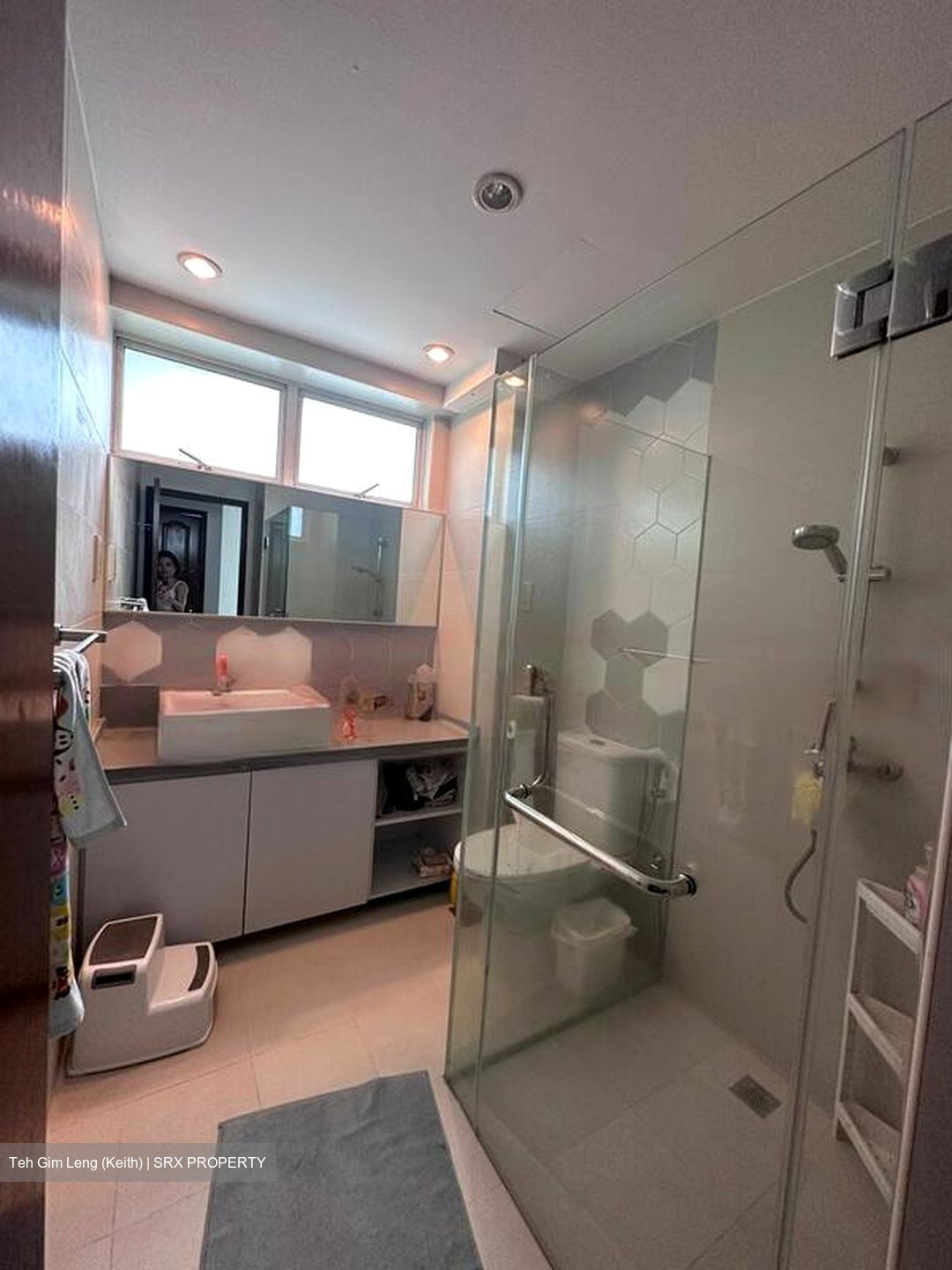 Holland Hill Park (D10), Condominium #467312771